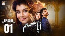 Aapa Shameem | Episode 01 | Zoha Tauqeer - Fahad Sheikh - Faiza Hassan | Pak Drama | ARY Digital