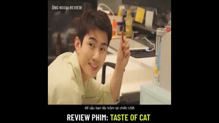 3 Con Mèo Bổng Nhiên Biến Thành 3 Chàng Hot Boy Lực Lưỡng | Review phim: Taste of catDo