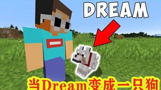 我的世界：当dream变成一只狗，还能通关MC吗？乔治dream趣味生存