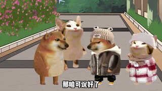 《一个地方两种爱情》