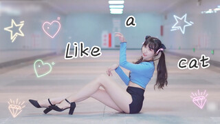 [Otaku Dance] [Dazzling] Like A Cat | Can't Breathe Before A Kitten