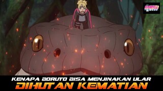 KENAPA BORUTO BISA MENJINAKAN ULAR DI HUTAN KEMATIAN? | FAKTA MENARIK BORUTO EP 221