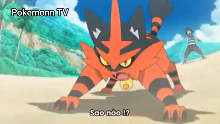 Pokemon Sun & Moon (Ep 63.4) Sự tiến hóa của Nyabby #PokemonSun&Moon