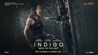 INDIGO - What do you see?(2023)