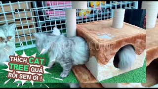 Cat Tree - Nhà Cây Cho Mèo Hai Trụ Cào Móng - Mã LZ0152 - Nông Trại Thú Cưng