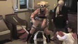 If cosplayers were drunk - The Fox CMV BLOOPERS
