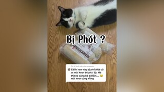 Trả lời  Tất nhiên raw này vẫn không thể nào tốt được bằng thịt chúng mình tự chế biến. Nên MN nuốn tốt nhất thì nên tự đi chợ ạ. 🥰