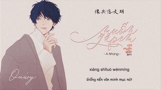 [Vietsub] Muốn Gặp Em Chỉ Muốn Gặp Em - A Nhũng | 想見你想見你想見你 - 阿冗