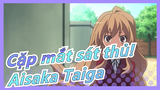 Cặp mắt sát thủ!|Cậu có bị say nắng bởi Aisaka Taiga đáng yêu?