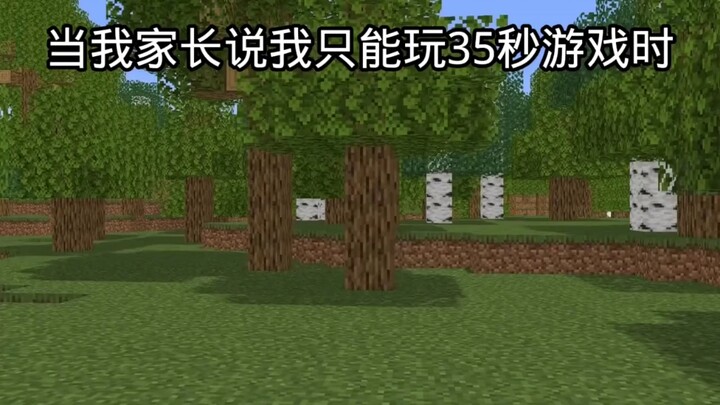 我的世界