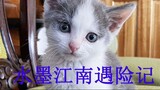 水墨江南遇险记 A miracle rescue story about Shui Mo and Jiang Nan-第一集: 水墨获救 Series1: Shui Mo to the rescue