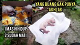 Astagfirullah Tega Amat Anak Kucing Baru Lahir Belum Melek Kok Di Buang | Di Taro Di Gang Rumah..!