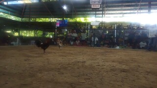 ito yong first fight mga par, pula rin yan(champion tayo mga par)