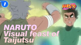 NARUTO   Visual feast of Taijutsu！_1