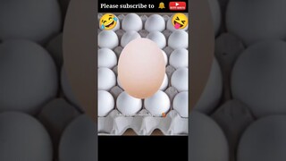 Unlimited Eggs😝💯😝OddlySatisfying ASMR Mukbang#shorts#asmr #satisfying