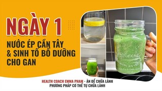 DAY 1 - UỐNG NƯỚC ÉP CẦN TÂY VÀ SINH TỐ BỔ DƯỠNG CHO GAN