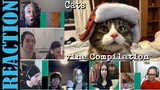 Funny Cats Vine Compilation September 2015 REACTIONS MASHUP