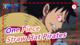 [One Piece] The Straw Hat Pirates Gather on Sabaody Archipelago Part 2_1