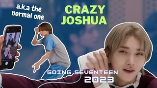 Crazy Joshua a.k.a the normal one in SEVENTEEN