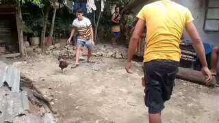 Tumakbo kalaban labas bituka ng kalaban🐓👌🏻