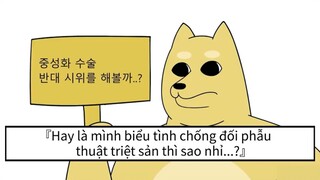 triệt sản #hoathinh