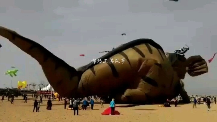 Are all Weifang kites so naughty? About the sudden attack of dead kites on humans