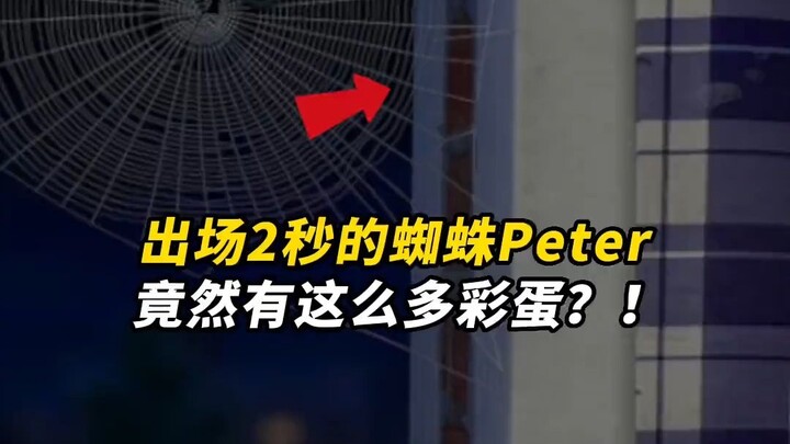 刷到这条视频这个夏天会受到peter之神的保佑