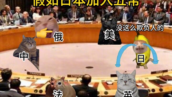 【猫meme】假如日本要求加入五常