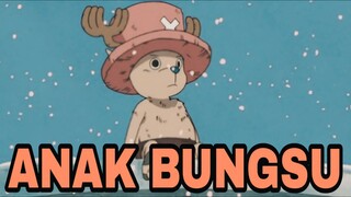 BAJAK LAUT PALING IMUT DI ONE PIECE