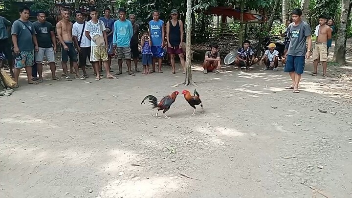 samin yung nasa kaliwa, counter attack lng ginawa ng manok namin