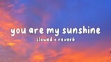 You are my sunshine Lebron James.. (Lyrics Video)