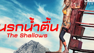 นรกน้ำตื้น (สปอยหนัง) The Shallows 2016 by Champ Studio