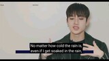 What Stay Means To Stray Kids