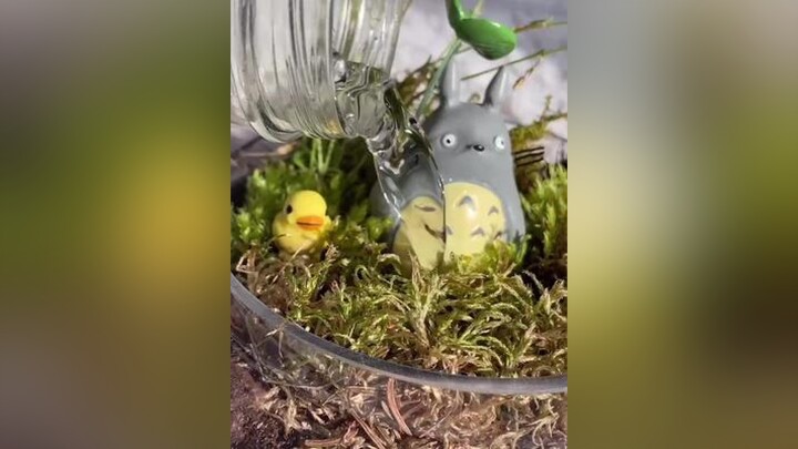 Made a bigger one lol 🐥 but with a duck ofc myneighbortotoro studioghibli anime Terrarium￼ fypシ foryoupage foryou fypage foryourpage fu f