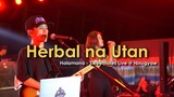 Herbal na Utan | Halamana - Sweetnotes Live @ Hinugyaw Festival