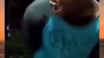 film aksi