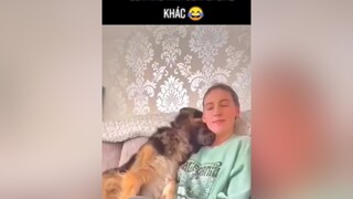 Sen kao nha đen! Đi chổ khác chơi 😂animals pet fyp thucung yeudongvat dog foryou thucungvuinhon funny