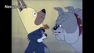 Tom & Jerry (Ep 16.3) Puttin' On The Dog (phần 3) #TomandJerry