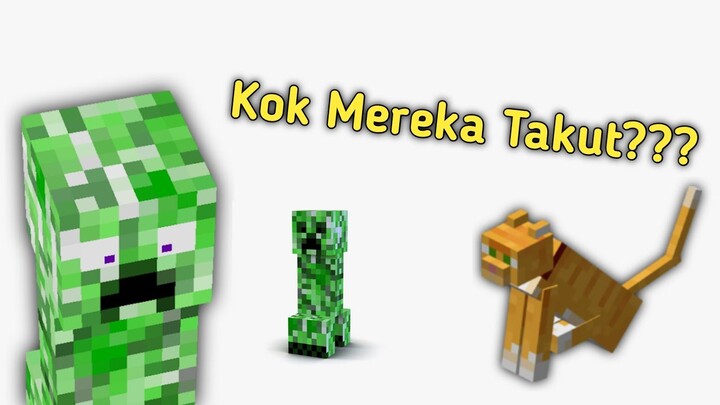 Kenapa Creeper Takut Kepada Kucing?