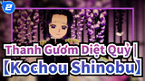 Thanh Gươm Diệt Quỷ | 【Kochou Shinobu】Girl Fuzei / Bươm bướm Shinobu_2