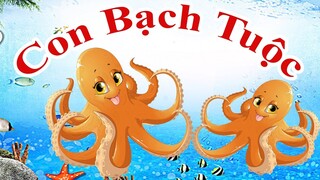 Dạy bé nói sớm | Bé học về động vật: "Con bạch tuộc" | Baby learns about octopus | PingTV