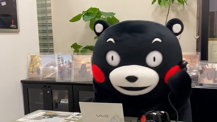 【Kumamon Edition】New Treasure Island