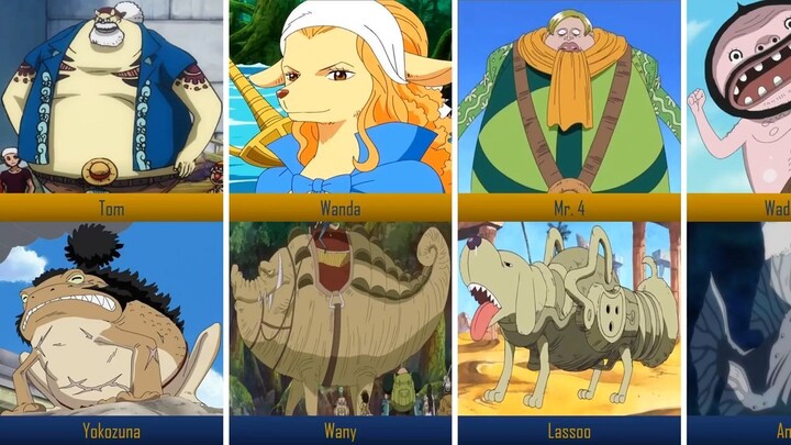 One Piece Characters and Their Pets