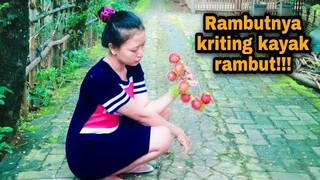 Awas lihatnya bikin wow | Ambil rambutan tetangga