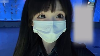 Khu vực ngủ ngoài trời của thủy cung là nơi tuyệt vời để ngủ! Chạm vào chú cá heo, chúc bạn ngủ ngon