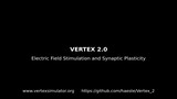 VERTEX 2.0 - Modelling in vitro electrical stimulation of brain tissue