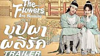 Official trailer : The Flowers Are Blooming บุปผาผลิรัก (ฝึกพากย์)