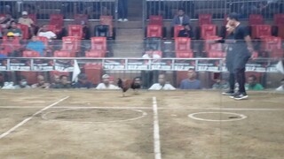 1st Fight Lose 1st Entry Mega 5hits Elims. @SMC