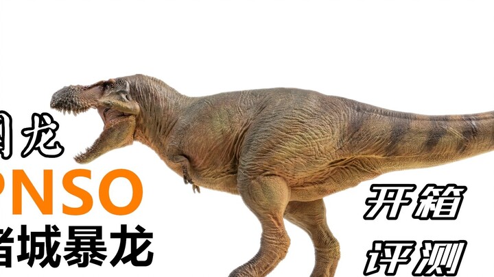 ไทรันโนซอรัสตัวนี้มาจากซานตง! รีวิวแกะกล่องโมเดล PNSO [Zhucheng Tyrannosaurus]!