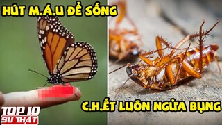 Loài Người THỞ ra MỠ - 10 Sự Thật "Phũ Phàng" mà Trường Học Không Bao Giờ Dạy Bạn